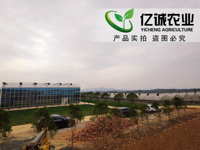 溫室大棚制造廠家施工現(xiàn)場案例-溫室工程出口圖片_青州市億誠農(nóng)業(yè)科技
